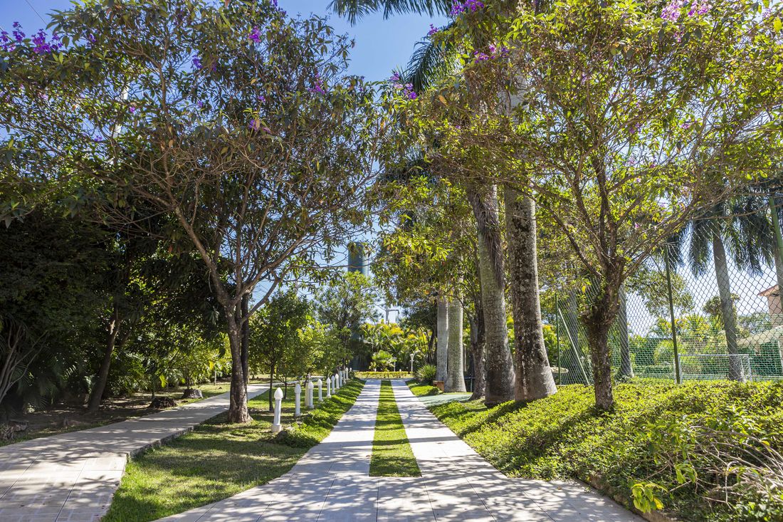Entrada arborizada da Quinta São Martinho